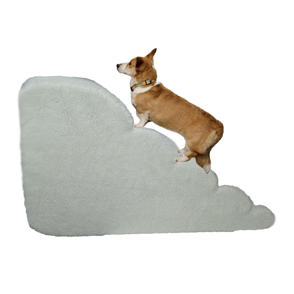 Rampa Cães Sem Toca Obesos Idosos Altura 60 Cm Pelúcia